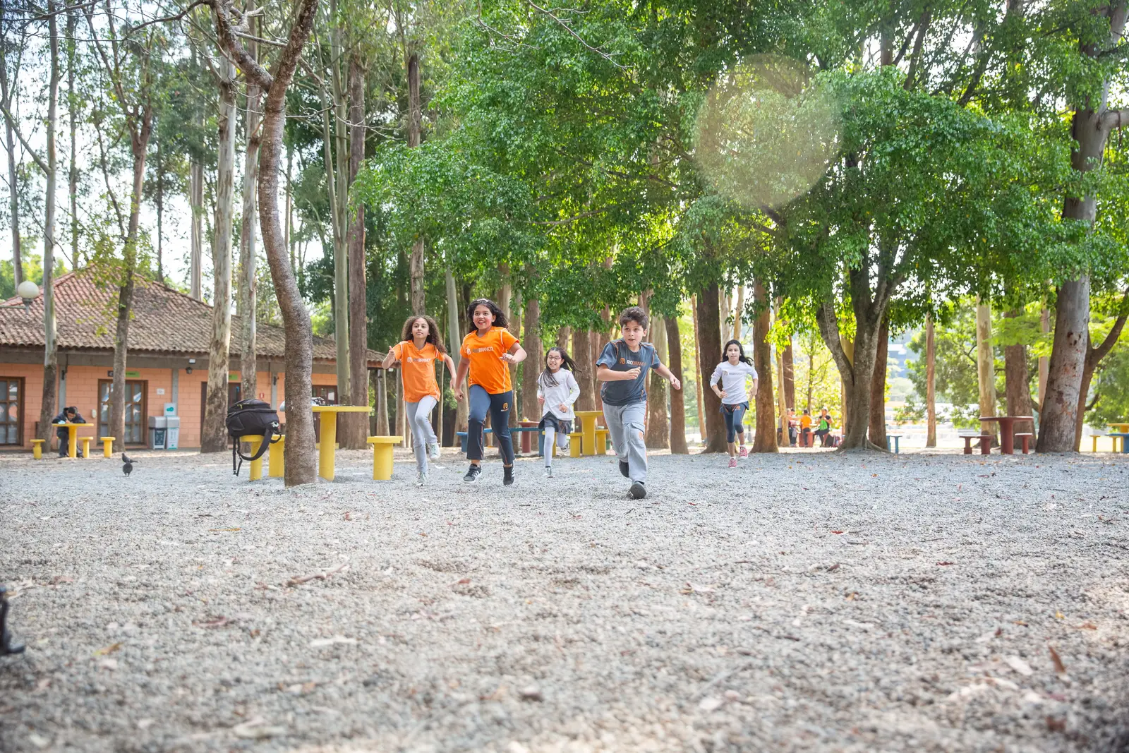 Unidade Granja Vianna: alunos convivendo no bosque